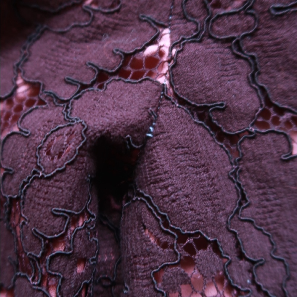 Anthropologie Burgundy Lace Wide-Leg Pants - Picture 4 of 4